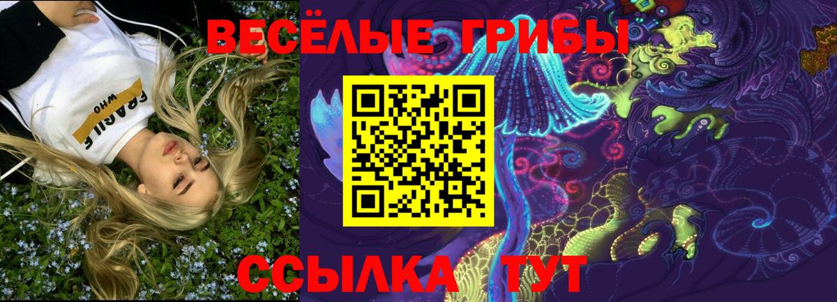 Котовск  Галлюциногенные грибы Cubensis  Псилоцибиновые грибы прущие грибы  магазин    Вход с VPN 