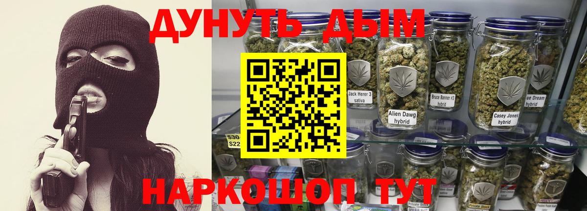 Бошки марихуана план  Вход с VPN  Котовск  Канабис Ganja  Бошки Шишки Bruce Banner 